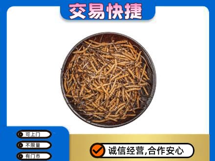 上海嘉定区礼品回收虫草.jpg